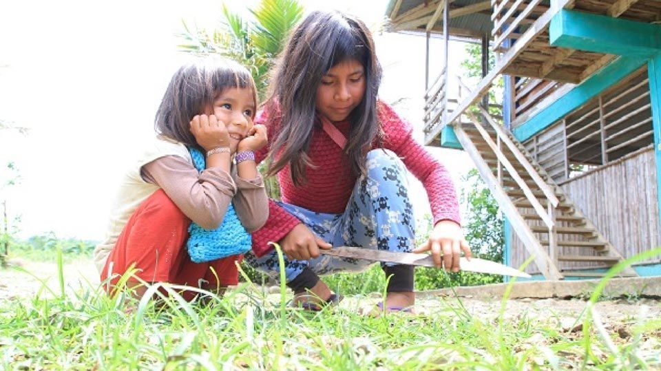Perú: Voluntariado con niños en la Selva de Quillabamba