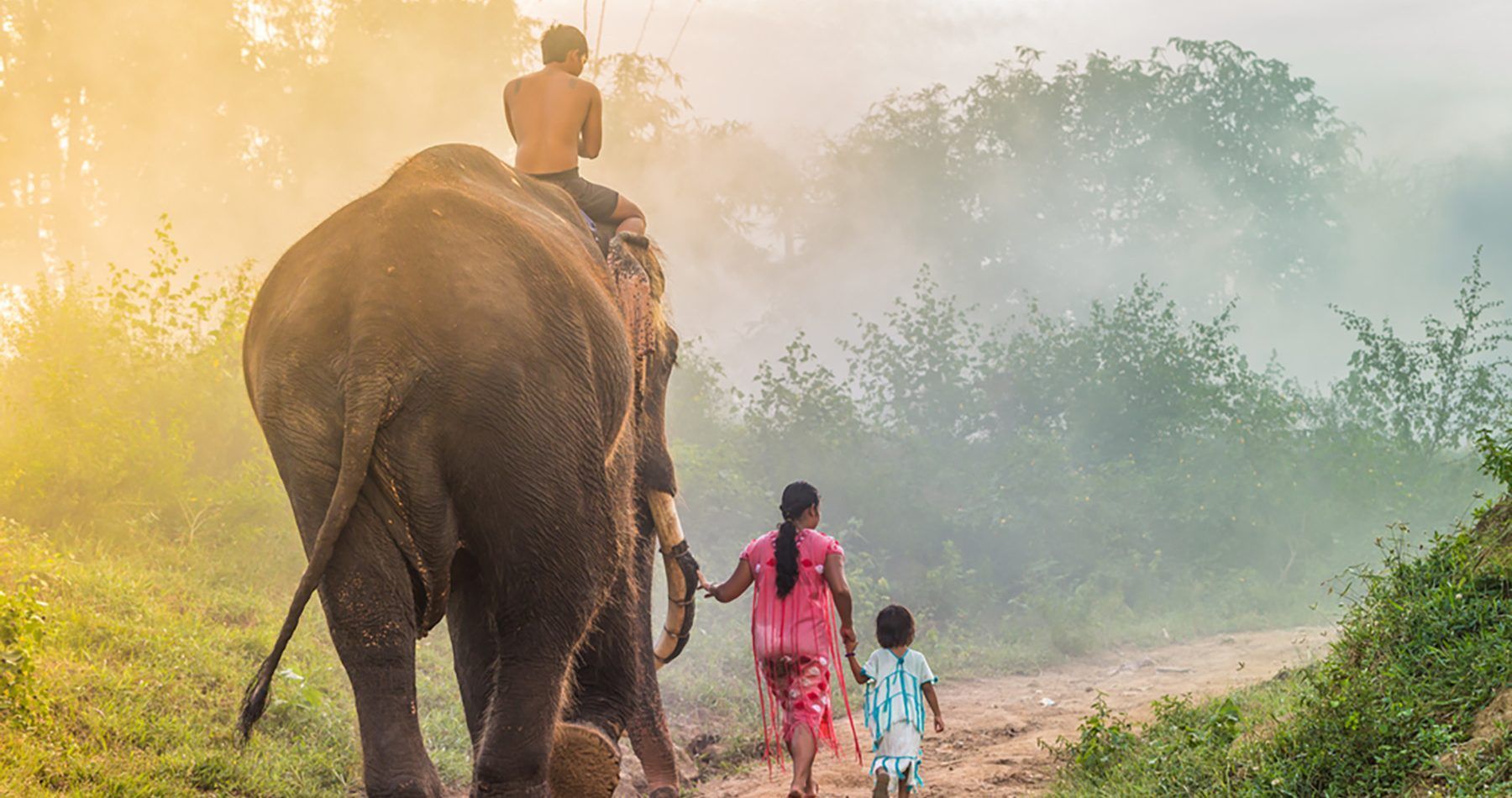 voluntariado-elefantes-tailandia-yumari