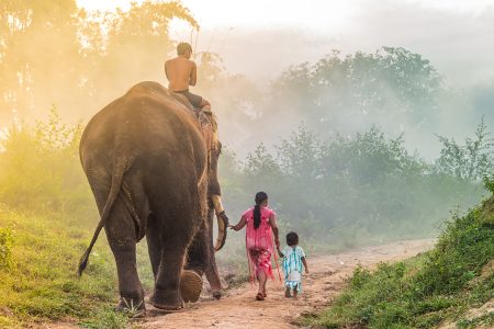 voluntariado-elefantes-tailandia-yumari